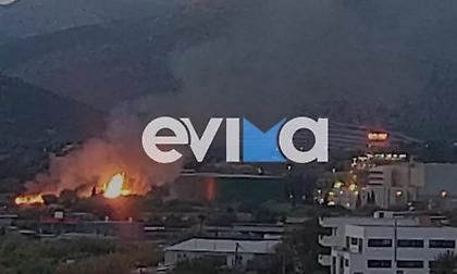 Εύβοια: Φωτιά δίπλα από το εργοστάσιο της ΔΕΗ