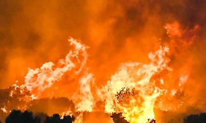 «Εθισμένος στον τζόγο» ο υπάλληλος της Παλλήνης που κατηγορείται για εμπρησμούς