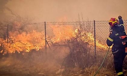 Απάντηση Κομισιόν σε Αυτιά: Επιπλέον 12 αεροσκάφη και 5 ελικόπτερα για την αντιμετώπιση των πυρκαγιών στην Ευρώπη