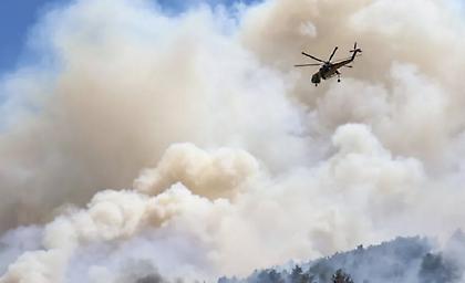 Φωτιά σε αγροτοδασική περιοχή στο Αβραμιό Μεσσήνης - 24 αγροτοδασικές πυρκαγιές το τελευταίο 24ωρο