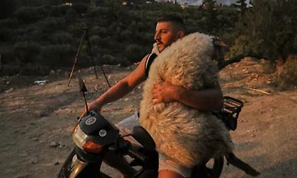 «Η σωτηρία του αμνού» μία από τις πιο εμβληματικές φωτογραφίες του 2025, σύμφωνα με το BBC