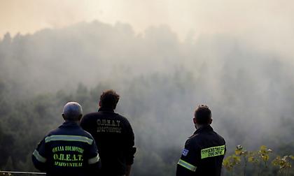 Λέσβος: Σύλληψη και πρόστιμο σε 20χρονο για την πυρκαγιά στη Βρίσα