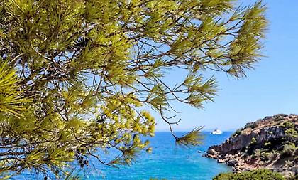 Μελτέμια και μικρή πτώση της θερμοκρασίας σήμερα - Μέχρι 33 βαθμούς θα δείξει ο υδράργυρος