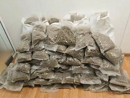 Συνελήφθησαν δύο άτομα που εισήγαγαν ταχυδρομικά από τον Καναδά 62 κιλά κάνναβης