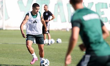 Παναθηναϊκός: Προπόνηση τη Δευτέρα χωρίς τους διεθνείς