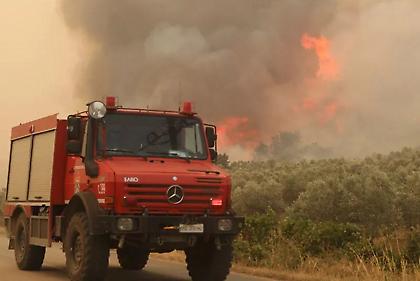 Φωτιά σε δασική περιοχή στη Στεμνίτσα Αρκαδίας