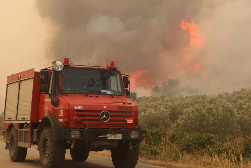 Φωτιά σε δασική περιοχή στη Στεμνίτσα Αρκαδίας