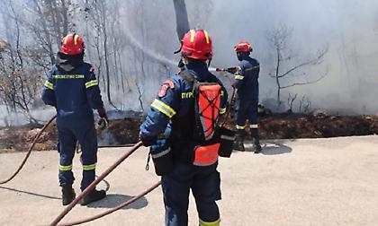 Φωτιά στην περιοχή της αρχαίας Ολυμπίας - Επιχειρεί ελικόπτερο