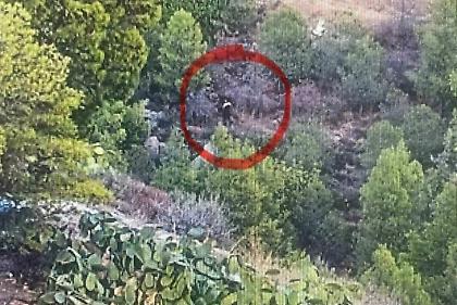 Συνελήφθη άνδρας ως υπαίτιος της πυρκαγιάς στο δάσος του Υμηττού