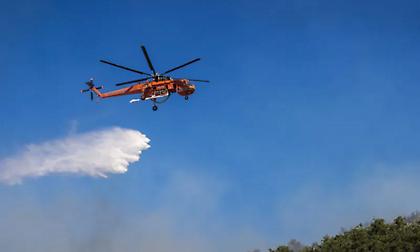 Φωτιά στη Μαγνησία - Ισχυρές πυροσβεστικές δυνάμεις στους Αγίους Θεοδώρους