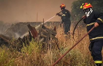 Φωτιά σε δασική έκταση στον Άγιο Ονούφριο Μαγνησίας