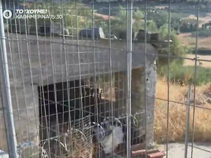 Δημογλίδου για την 62χρονη που έθαψε τη μητέρα της: Πέντε χρόνια είχαν να την δουν - Πιθανή η εγκληματική ενέργεια