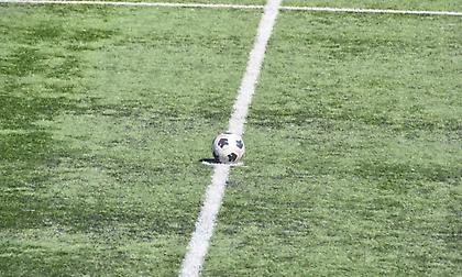 Σοβαρό περιστατικό στον Αστέρα Σταυρού: Οχιά δάγκωσε ποδοσφαιριστή στο γήπεδο