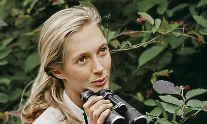 Πέθανε η θρυλική ανθρωπολόγος Τζέιν Γκούντολ - Η επιστημονική πορεία της ξεκίνησε από ένα παιχνίδι