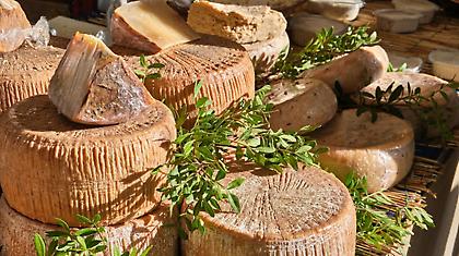 Casu Μarzu: Εσύ θα δοκίμαζες το τοπικό τυρί της Σαρδηνίας που είναι γεμάτο σκουλήκια;