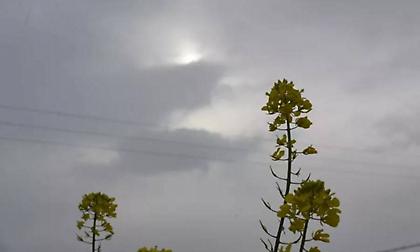 Καιρός: Συννεφιά σε Αττική και Θεσσαλονίκη – Βροχές και καταιγίδες στα νότια με πτώση θερμοκρασίας