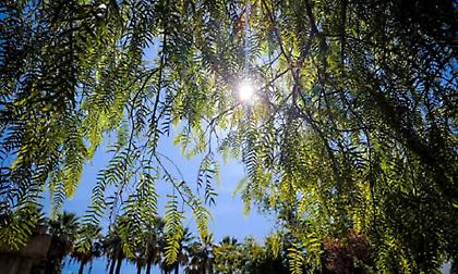 Καιρός: Νεφώσεις με λίγες βροχές και μικρή άνοδο της θερμοκρασίας