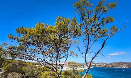 Σχεδόν καλοκαίρι: Στους 26 βαθμούς ο υδράργυρος σήμερα και άνεμοι στο Αιγαίο