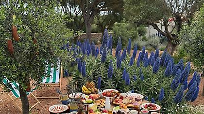 Πού να φας στη Μαδρίτη αυτή τη στιγμή