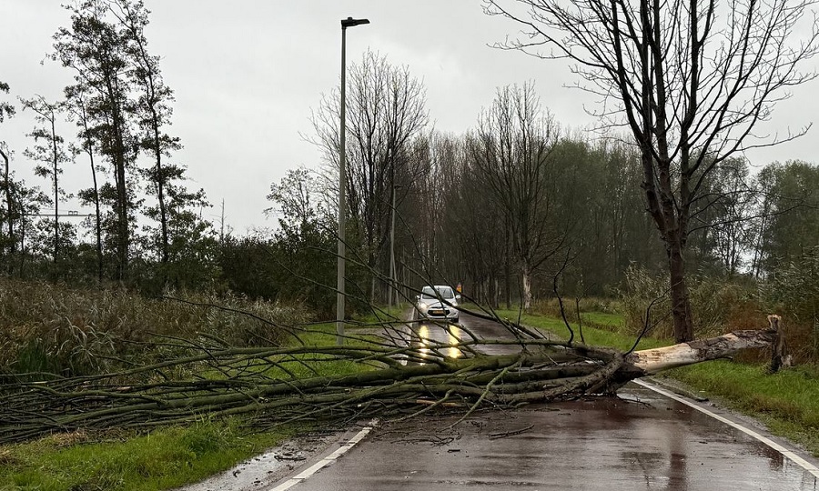 Φέγενορντ-Παναθηναϊκός: Tι γίνεται στο Ρότερνταμ με τον «Μπέντζαμιν»