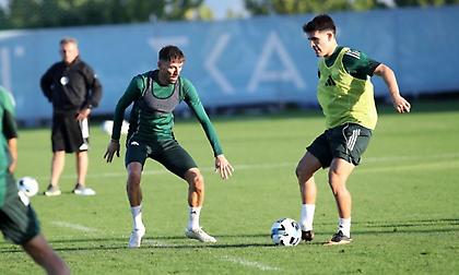 Το πρόβλημα του Μπακασέτα και η πρώτη αποστολή του Μπενίτεθ στον Παναθηναϊκό