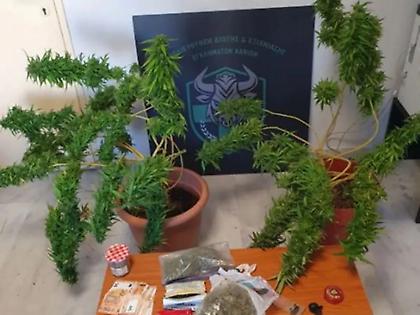 Συνελήφθησαν 2 άντρες και μία γυναίκα στα Χανιά για απόπειρα ανθρωποκτονίας και ναρκωτικά