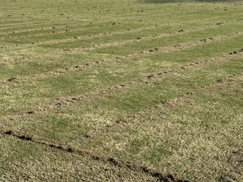 Βόλος: Άρχισαν οι εργασίες για την επισπορά του χλοοτάπητα του Πανθεσσαλικού