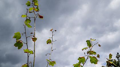 Καιρός: Άστατος ο καιρός σήμερα-Κύματα κακοκαιρίας το Σαββατοκύριακο