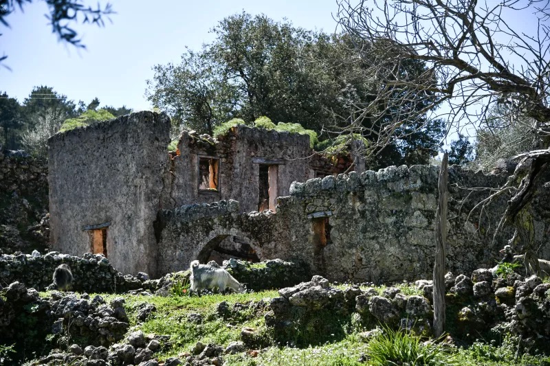 Σασμός: Ο άγραφος νόμος της Κρήτης που κλείνει τον κύκλο του αίματος