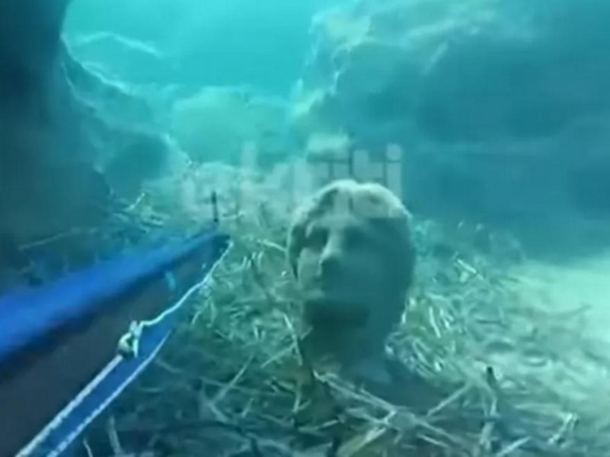 Ηράκλειο: Ψαροντουφεκάς εντόπισε άγαλμα στο βυθό