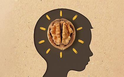 Πες μου το τρόφιμο να σου πω με ποιο όργανο μοιάζει και σε τι ωφελεί