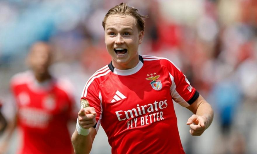 Φυλάκιση 14 ημερών με αναστολή στον Σιέλντρουπ για το βίντεο ερωτικού περιεχομένου