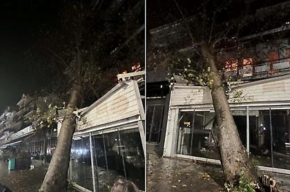 Προβλήματα από την κακοκαιρία στην Ηπειρο: Κεραυνός χτύπησε σπίτι, πλάτανος έπεσε σε κατάστημα