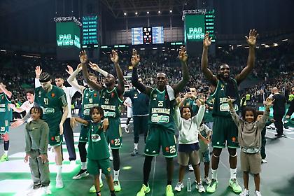 Και ύστερα ήρθαν οι… μέλισσες!