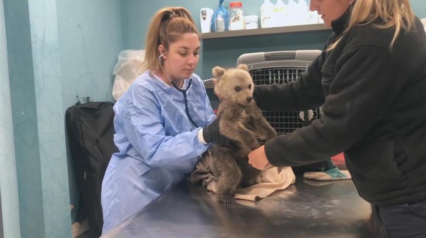 Όπου Υπάρχει Ελλάδα στη Φλώρινα: ιστορίες, άνθρωποι και άγρια φύση