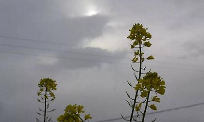 Καιρός: Αίθριος στη χώρα – Τοπικές βροχές μόνο στην Κρήτη