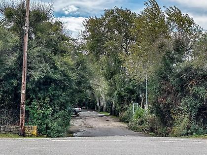 Συνελήφθησαν ο ανιψιός του ιδιοκτήτη του κάμπινγκ στην Φοινικούντα και επιχειρηματίας φίλος του