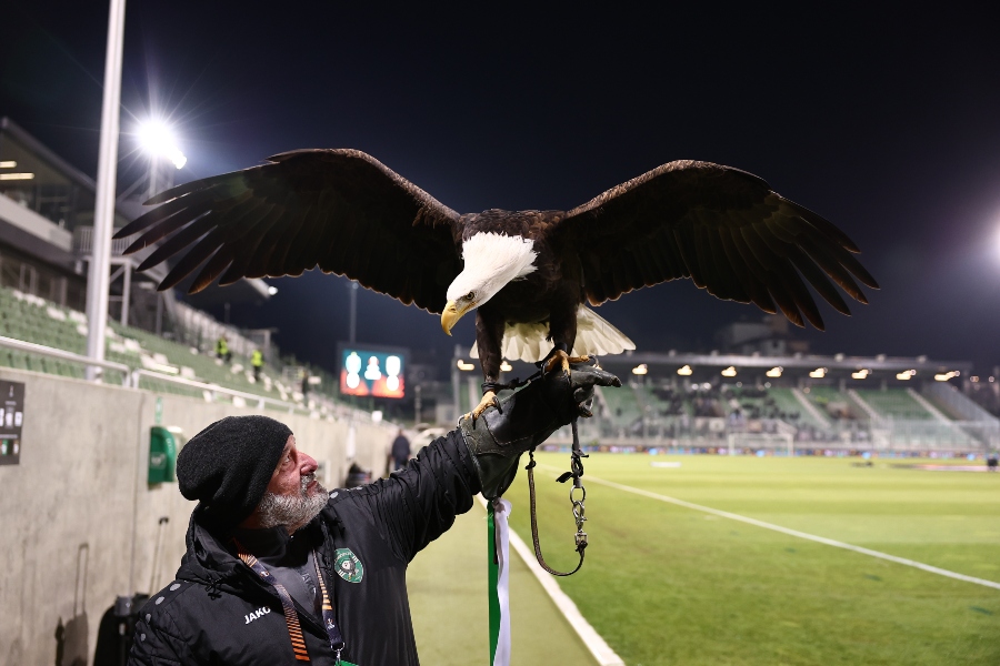 Λουντογκόρετς: Ο επιβλητικός αετός των Βούλγαρων στο ματς με τον ΠΑΟΚ