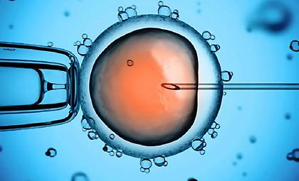 «Δότης 7069»: Σε 7 κλινικές στην Ελλάδα το σπέρμα με το «γονίδιο του καρκίνου» - Γεννήθηκαν 18 παιδιά