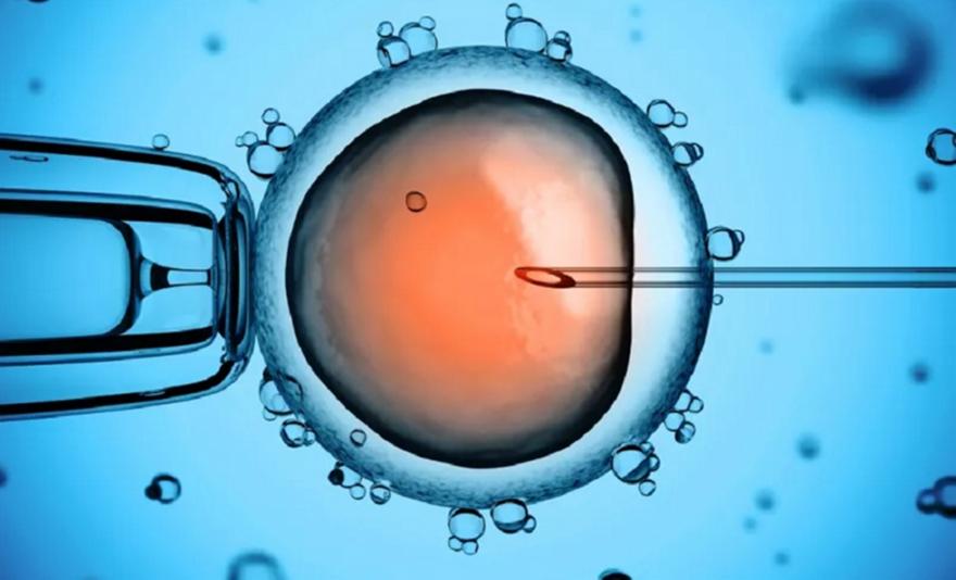 «Δότης 7069»: Σε 7 κλινικές στην Ελλάδα το σπέρμα με το «γονίδιο του καρκίνου» - Γεννήθηκαν 18 παιδιά