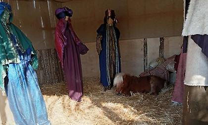 Βόλος: Αντιδράσεις φιλόζωων για το ζωντανό πόνι σε χριστουγεννιάτικη φάτνη