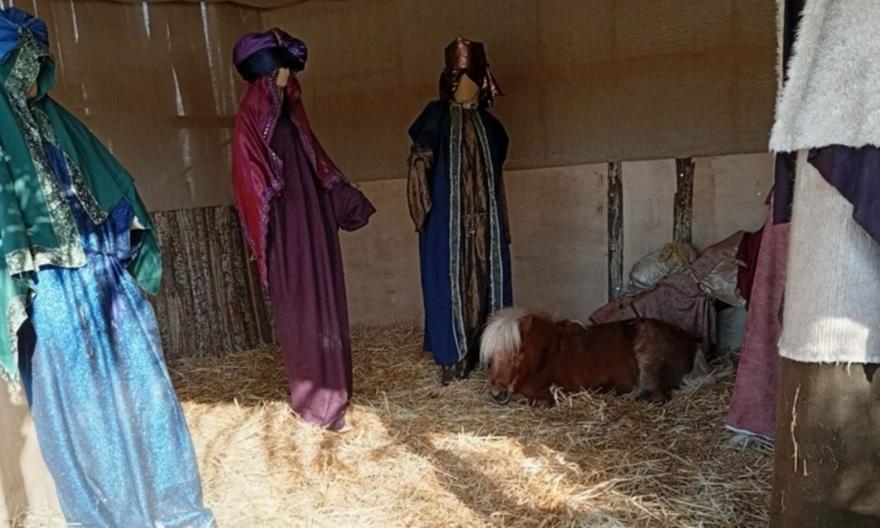 Βόλος: Αντιδράσεις φιλόζωων για το ζωντανό πόνι σε χριστουγεννιάτικη φάτνη