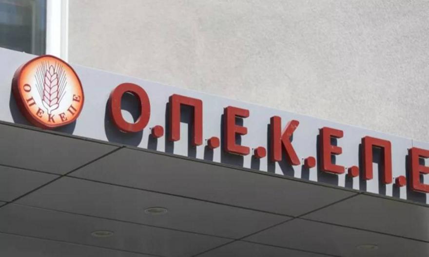 Σκάνδαλο ΟΠΕΚΕΠΕ: Πώς δρούσε το κύκλωμα στην Κρήτη - 15 συλληφθέντες, 42 οι εμπλεκόμενοι