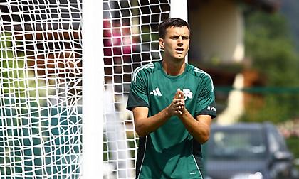 Οριστική η συμφωνία Γερεμέγεφ με ΠΑΟΚ - Πως κατέληξε στον Σουηδό φορ ο «δικέφαλος»