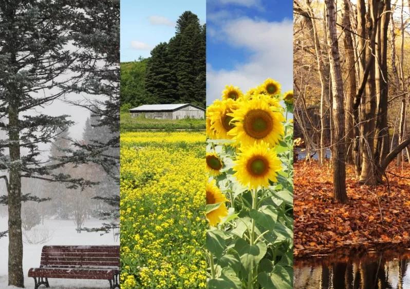 Καιρός: Χωρίς βροχές και με ήπιο καιρό μέχρι Παρασκευή-Βροχές το Σαββατοκύριακο