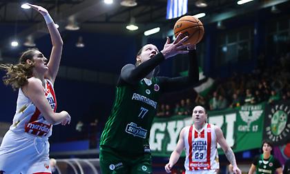 Live Streaming η αναμέτρηση του Παναθηναϊκού με τον Ερυθρό Αστέρα για την πρόκριση στους «16» του Eurocup Γυναικών