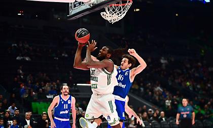 Οι «πράσινοι» υποδέχονται τον Γηραιό: Παναθηναϊκός AKTOR-Ηρακλής (4η περίοδος)