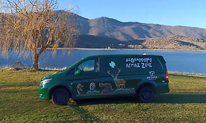 Το πρώτο ασθενοφόρο άγριων θηλαστικών στην Ελλάδα