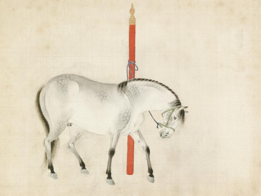 Κινέζικη αστρολογία: Από το έτος του φιδιού στο έτος του αλόγου - Τι σημαίνει αυτό για το 2026 και τι να περιμένεις