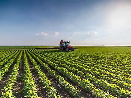 Στην τελική ευθεία οι έρευνες για τον ΟΠΕΚΕΠΕ: Στο στόχαστρο 3 εγκληματικές οργανώσεις σε Κρήτη, Κοζάνη και Τρίκαλα